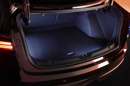 2021 - Mobilize Limo (3)